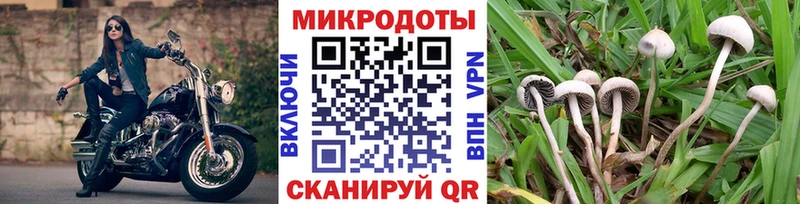 Псилоцибиновые грибы мухоморы  KRAKEN зеркало  Кедровый 